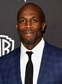 Billy Brown Photos Photos - 2016 InStyle and Warner Bros. 73rd Annual ...