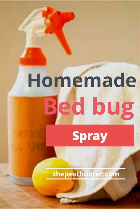 I store my essential oils in this wooden box by aroma outfitters that my husband bought me for christmas. How to Make Homemade Bed Bug Spray For House in 2020 | Bed ...