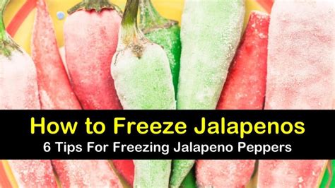 6 Amazing Ways To Freeze Jalapeno Peppers