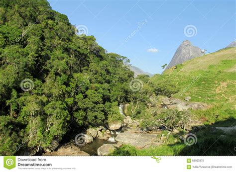 Beautiful Scenery Of Green Forest River And Smooth Rocks