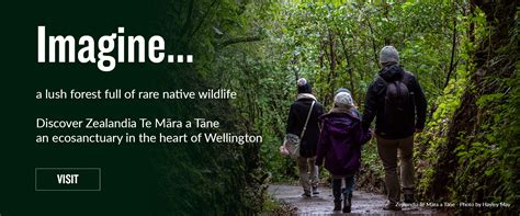 Wildlife Sanctuary Wellington Zealandia