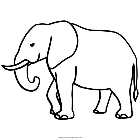 Elefante Desenho Para Colorir Ultra Coloring Pages