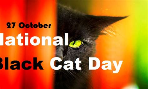National Black Cat Day 2023 History Quotes Captions Messages