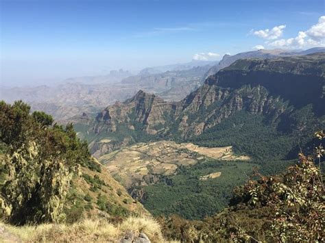 Simien Mountain Trekking And Tours Gonder 2021 All You Need To Know