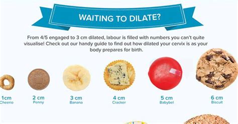 Visualizing Cervix Dilation A Guide For Expecting Mothers