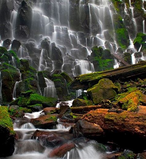 Ramona Falls Mt Hood Oregon Places I Will Return To