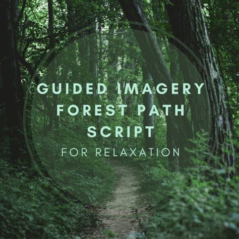 Guided Imagery Forest Path Script For Relaxation Guided Imagery Meditation Guided Imagery