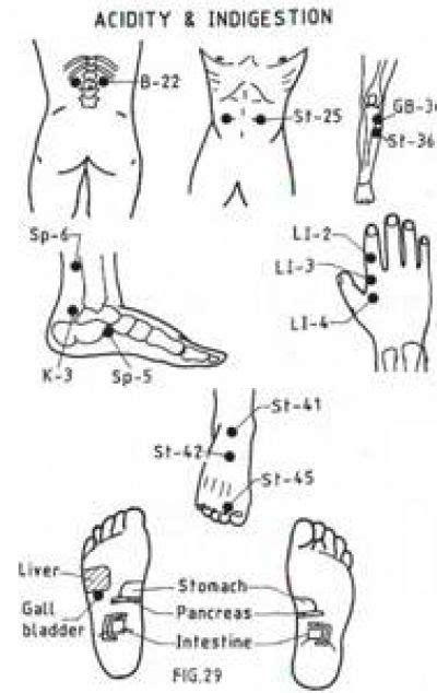 Acupressure To Induce Labor Diagram Acupressure Points For Indigestion And Related Prob