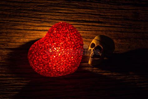 Heart And Skull In The Dark Stock Image Image Of Life Wooden 66781759
