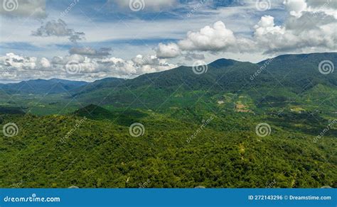 Mountain Covered With Forest From Above Borneo Malaysia Stock Photo