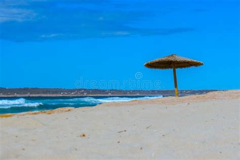 Naturist Beach In Formentera Stock Photo Image Of Perspective Green