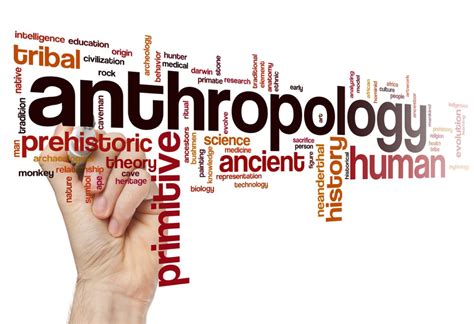 Anthropology Courses Learn More About Anthropology Uk