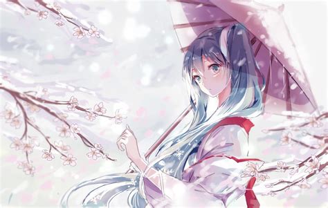 배경 화면 그림 삽화 꽃들 긴 머리 애니메이션 소녀들 파란 머리 우산 보컬 로이드 하츠네 미쿠 벚꽃 돌연변이 유키 미쿠 유카타 키모노 전통 의상