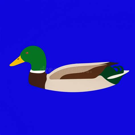Mallard Duck Graphic Stock Illustration Illustration Of Decoration