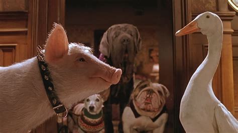 Schweinchen Babe In Der Großen Stadt Film 1998 Moviebreakde