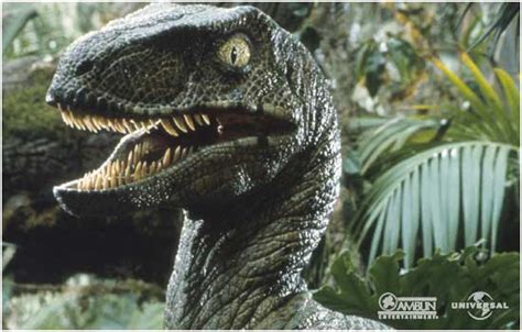 Imagen Velociraptor Pose 2 Jurassic Park Wiki Fandom Powered By Wikia