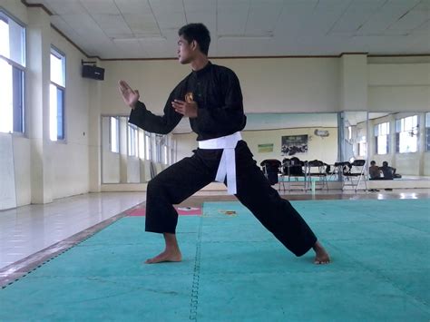 10 Basic Techniques Of Pencak Silat That Beginners Need To Master