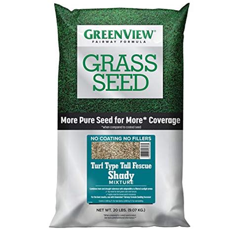 Best Turf Type Tall Fescue Grass Seed Our Top Picks Rated For You