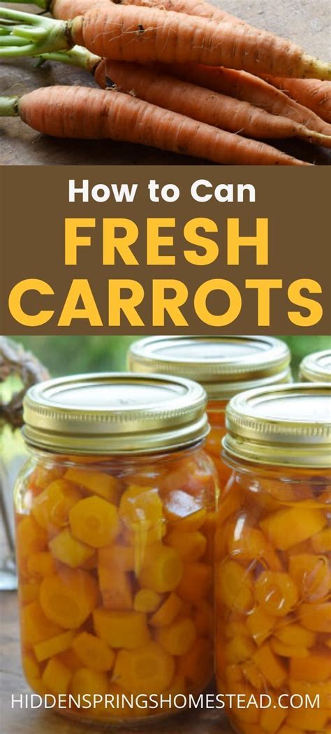 If the soil in your garden is not rich in nutrients, you may need to fertilize your carrots. Learn how to Can Carrots | Recipe | Canned carrots ...