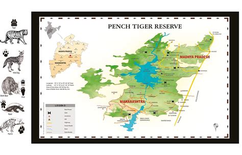 Pench National Park Pench Jungle Camp Resort Pench Wildlife