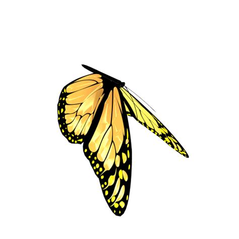 Flying Butterfly Animated 