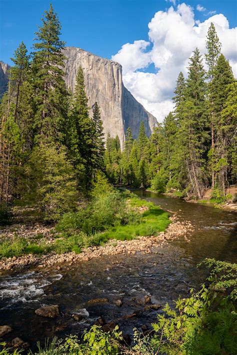 How To Photograph Yosemite Like Ansel Adams Travelomama