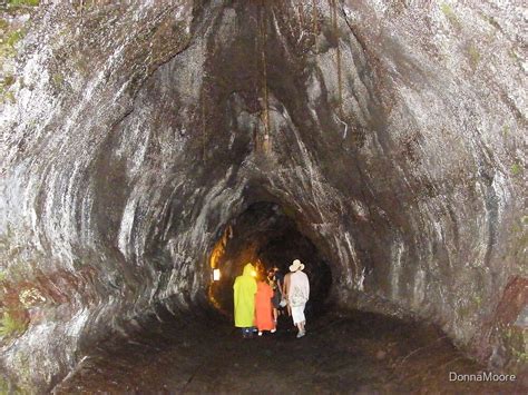 Thurston Lava Tube Hawaii Volcanoes National Park By Donnamoore