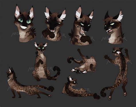 Sketch Page For Sakirtus By Nightrizer On Deviantart Warrior Cats Fan