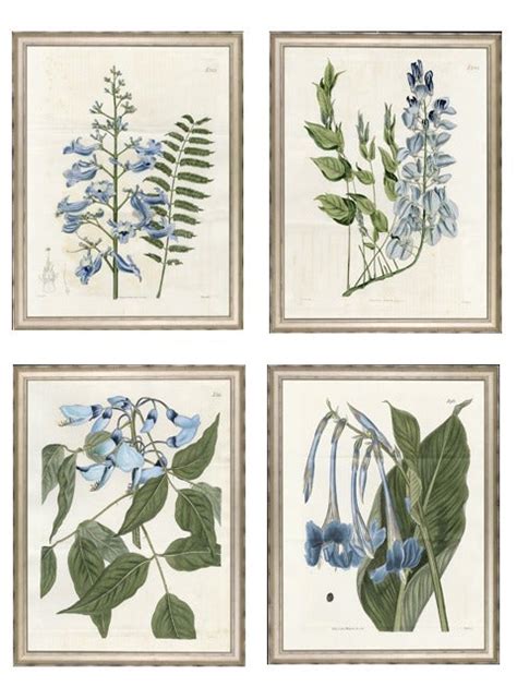 Blue Flower Botanical Prints For Sale At 1stdibs