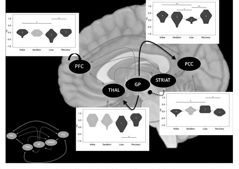 Figure 3 From Testing Proposed Neuronal Models Of Effective