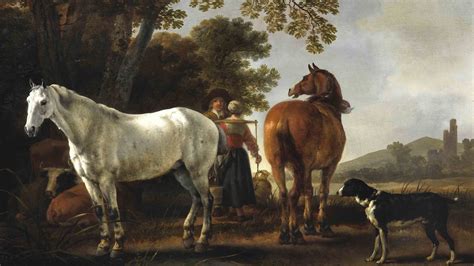 Mystery Of The Domestication Of The Horse Solved University Of Cambridge
