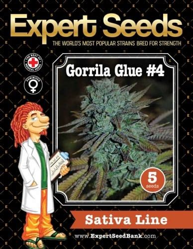 Gorilla 4 Cannabis Seeds By Expert Seeds