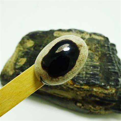 Check spelling or type a new query. Mustika Sekar Mawar Hitam