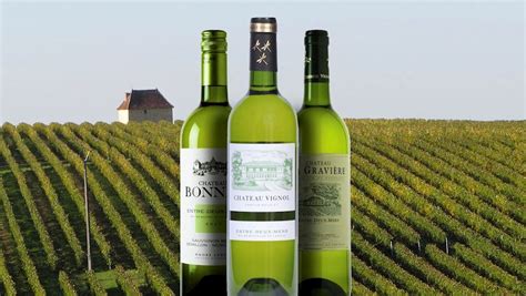 50 Most Popular French White Wines Tasteatlas