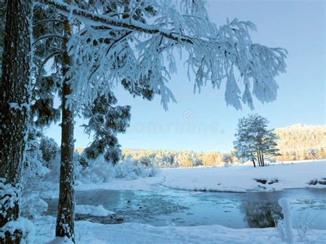 Winter Boreal Landscape From Northern Norway Grong Area Stock Photo