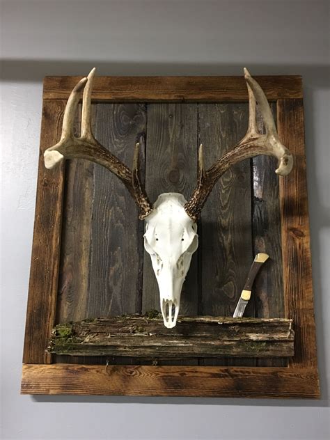 A drill, wire brushes, borax. European mount ideas. DIY. Enjoy future mounts with a new look and endless ideas. | Hunting ...
