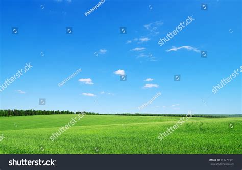 Green Field And Blue Sky Stock Photo 113770351 Shutterstock