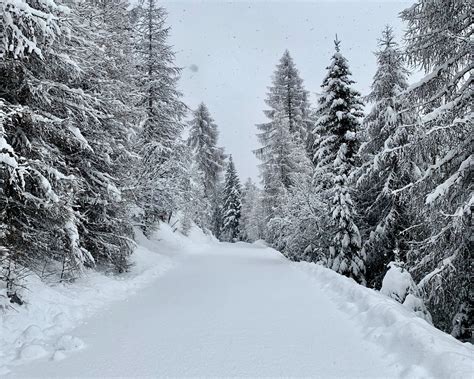 Download Wallpaper 1280x1024 Forest Winter Snow Snowy Road Standard