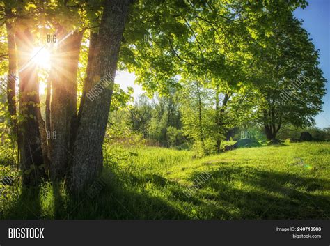 Summer Landscape Green Image And Photo Free Trial Bigstock