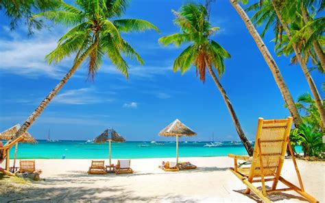 Tropical Paradise Beach Phone Wallpapers