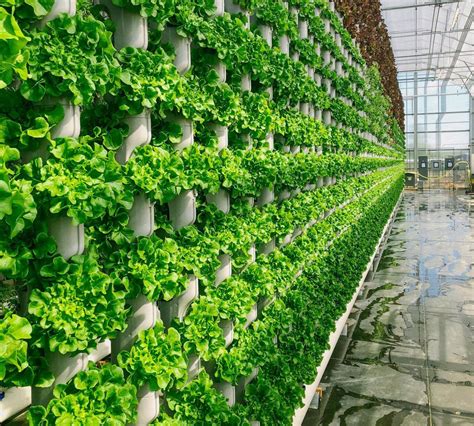 The Worlds Most Advanced Vertical Farm Opens The Green Optimistic