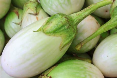 White Eggplant What Is It And How To Cook It Fine Dining Lovers