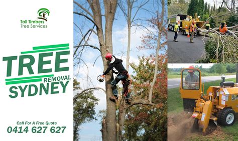 Learn More About Tree Removal Sydney By Visiting