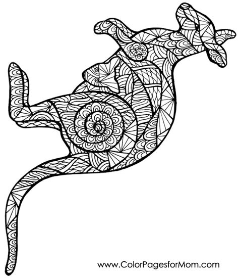 Animals 64 Advanced Coloring Page