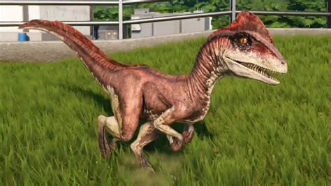 Jurassic World Evolution Deinonychus Gameplay Ps4 Hd 1080p60fps Youtube