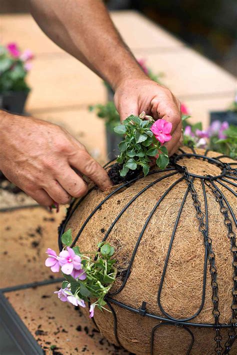 How To Make A Sphere Hanging Basket Better Homes And Gardens