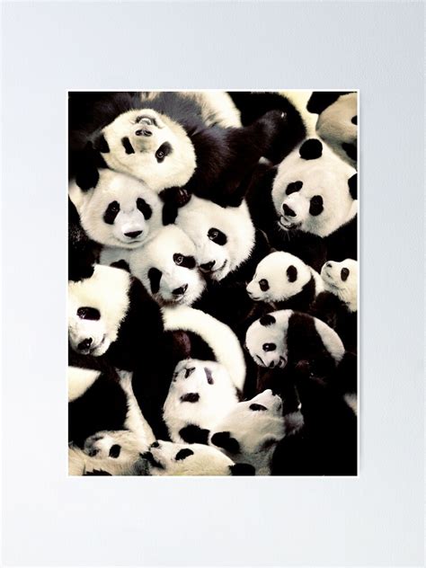 Pandas Poster For Sale By Maxencepierrard Redbubble