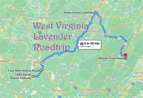 Take A Road Trip Through West Virginia To See Lavender Fields In Bloom