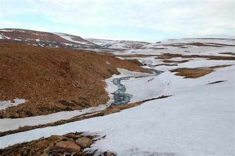 Spring In Tundra North Siberia Royalty Free Stock Photos