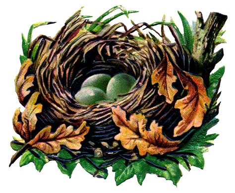 Vintage Graphic Fall Nest With Eggs The Graphics Fairy